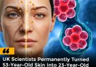 Babraham Institute achieved a world-first breakthrough by turning 53-year-old skin cells into 23-year-old ones using partial cellular reprogramming.