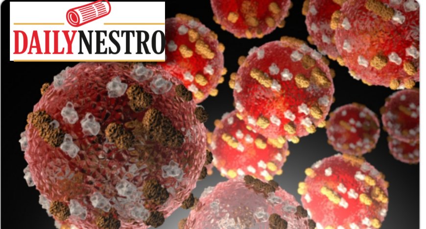 MEASLES CASES AND OUTBREAK IN THE USA