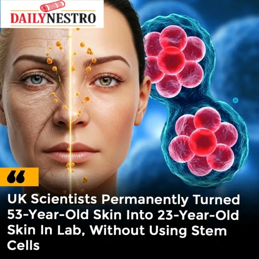 Babraham Institute achieved a world-first breakthrough by turning 53-year-old skin cells into 23-year-old ones using partial cellular reprogramming.