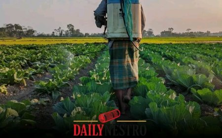 Are We Eating Our Own Poison? The Hidden Risks of Pesticide Residue on Our Produce