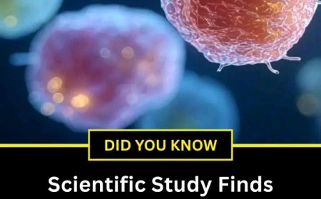 Can a 72-Hour Fast Really Reset Your Immune System? Here's What the Science Suggests