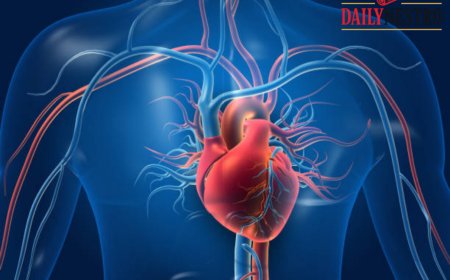 5 Heart-Healthy Drinks That Help Prevent Artery Plaque Naturally