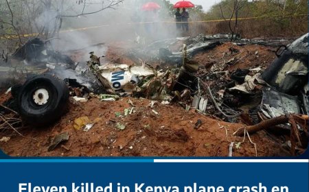 11 Killed in Kenya Plane Crash En Route to Maasai Mara National Reserve