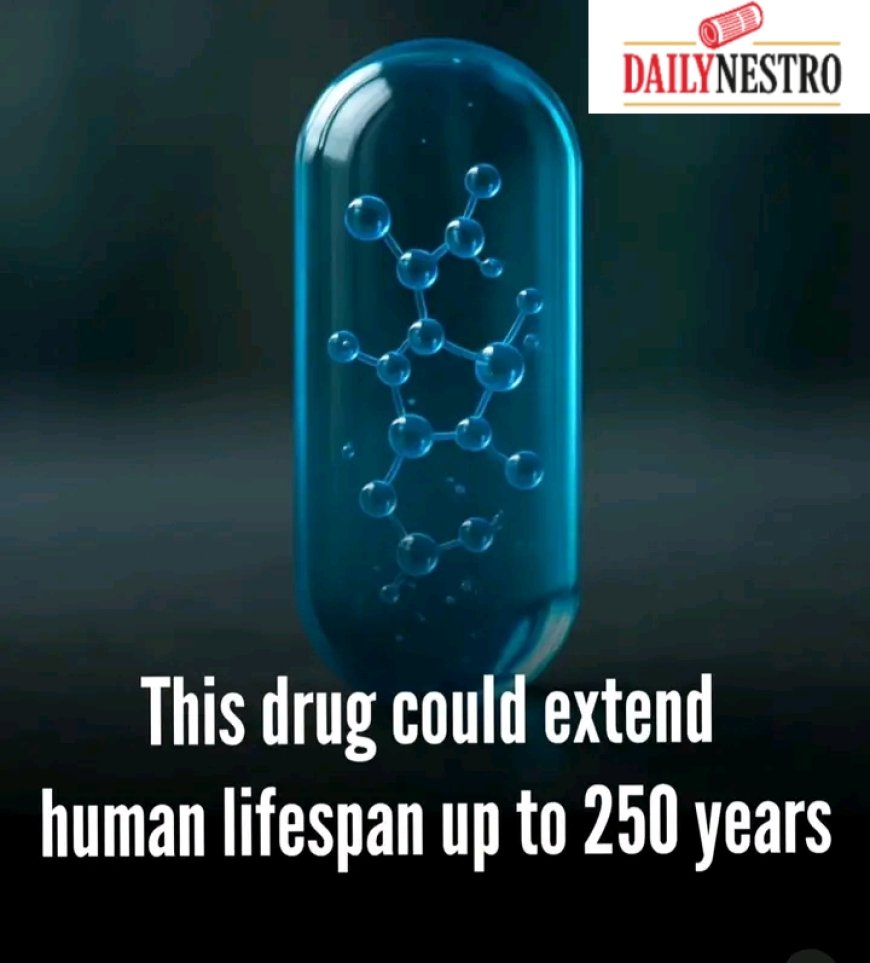 Scientists Claim This Anti-Aging Drug Could More Than Double Human Lifespan