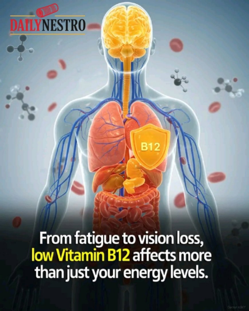 Vitamin B12 plays a huge role in keeping your brain sharp, immune system strong, and energy levels stable.