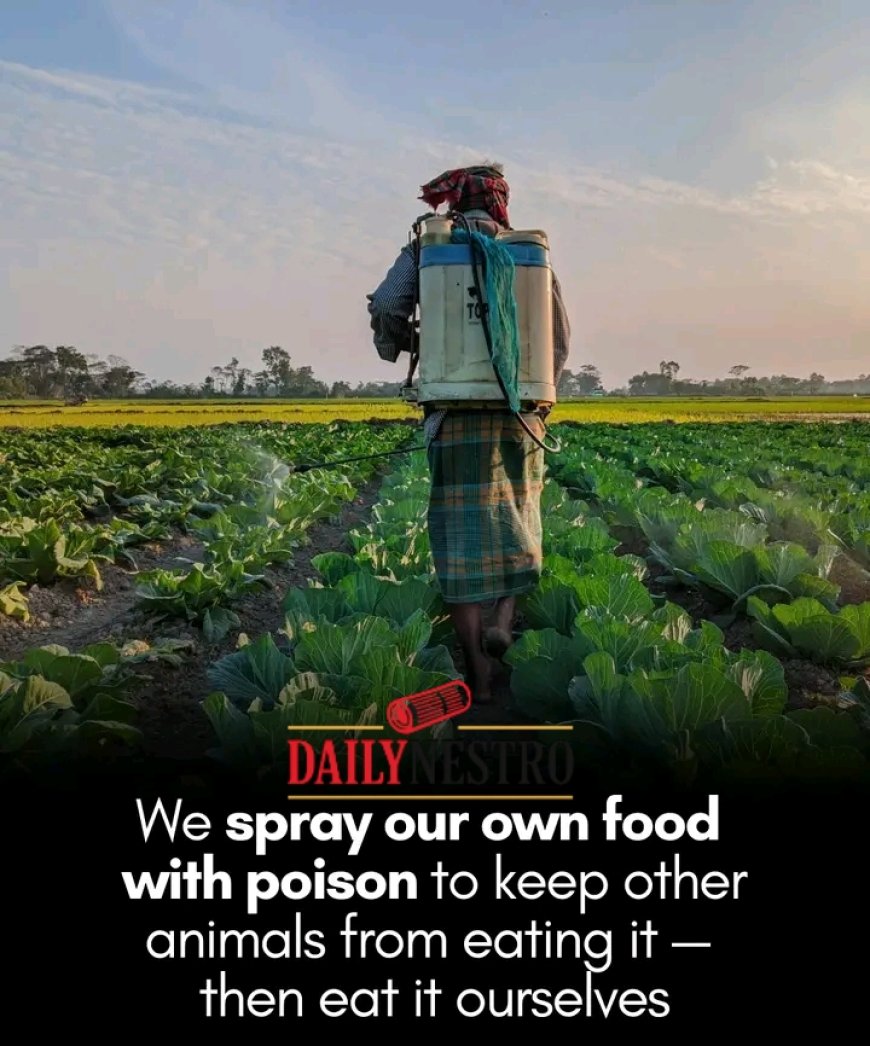 Are We Eating Our Own Poison? The Hidden Risks of Pesticide Residue on Our Produce