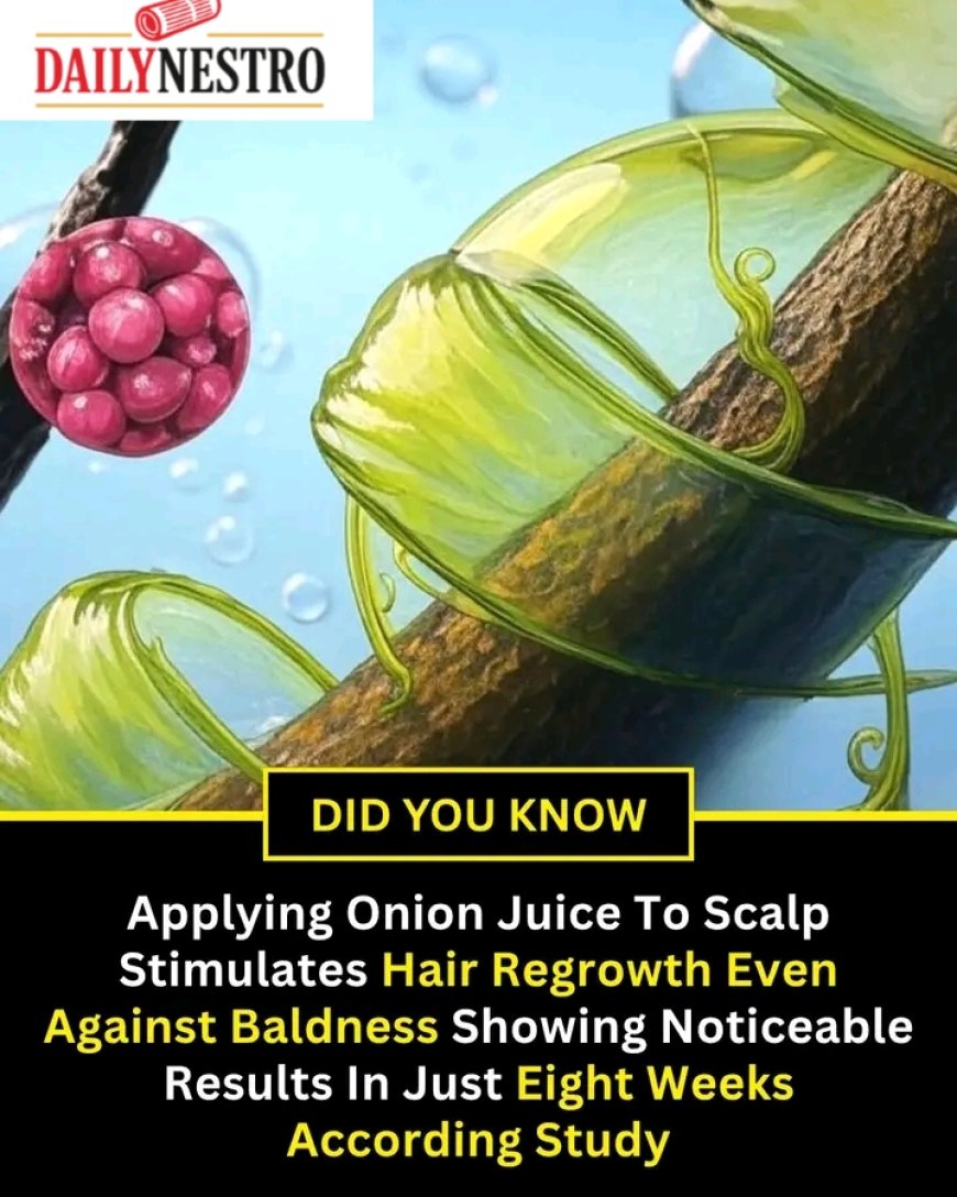 Can Onion Juice Help Regrow Hair? A Natural Remedy Backed by Research