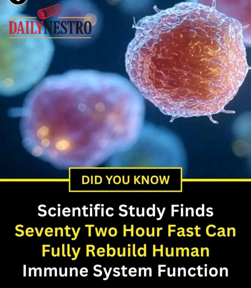 Can a 72-Hour Fast Really Reset Your Immune System? Here's What the Science Suggests