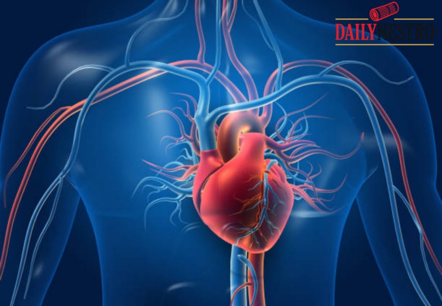 5 Heart-Healthy Drinks That Help Prevent Artery Plaque Naturally