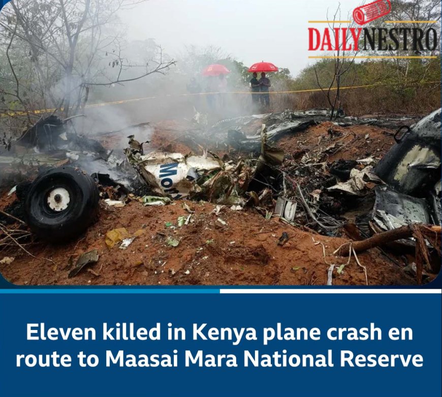 11 Killed in Kenya Plane Crash En Route to Maasai Mara National Reserve