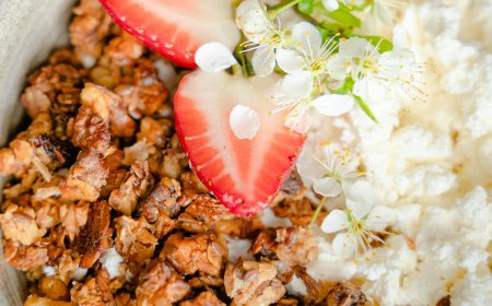 Probiotics and Gut Health: Why More Americans Are Turning to Good Bacteria