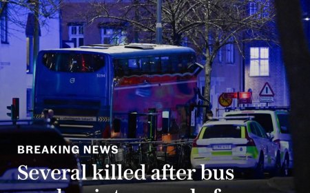 Several Dead After Bus Crashes Into Bus Stop in Central Stockholm