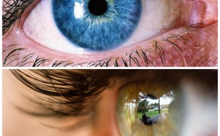 Early Warning Signs of Eye Problems You Should Never Ignore
