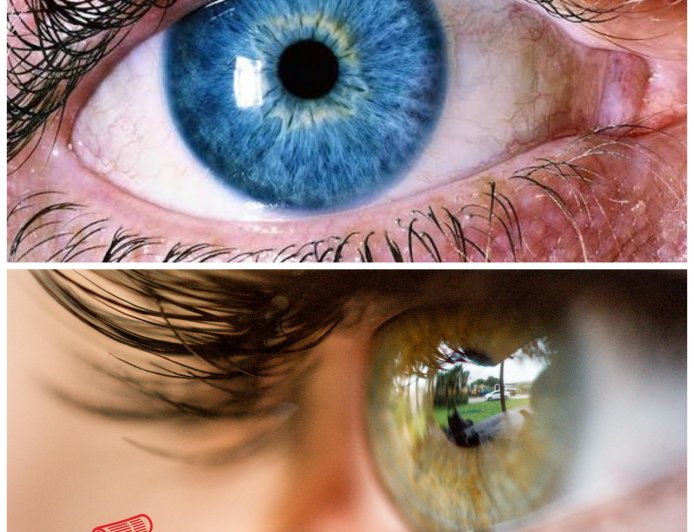 Early Warning Signs of Eye Problems You Should Never Ignore