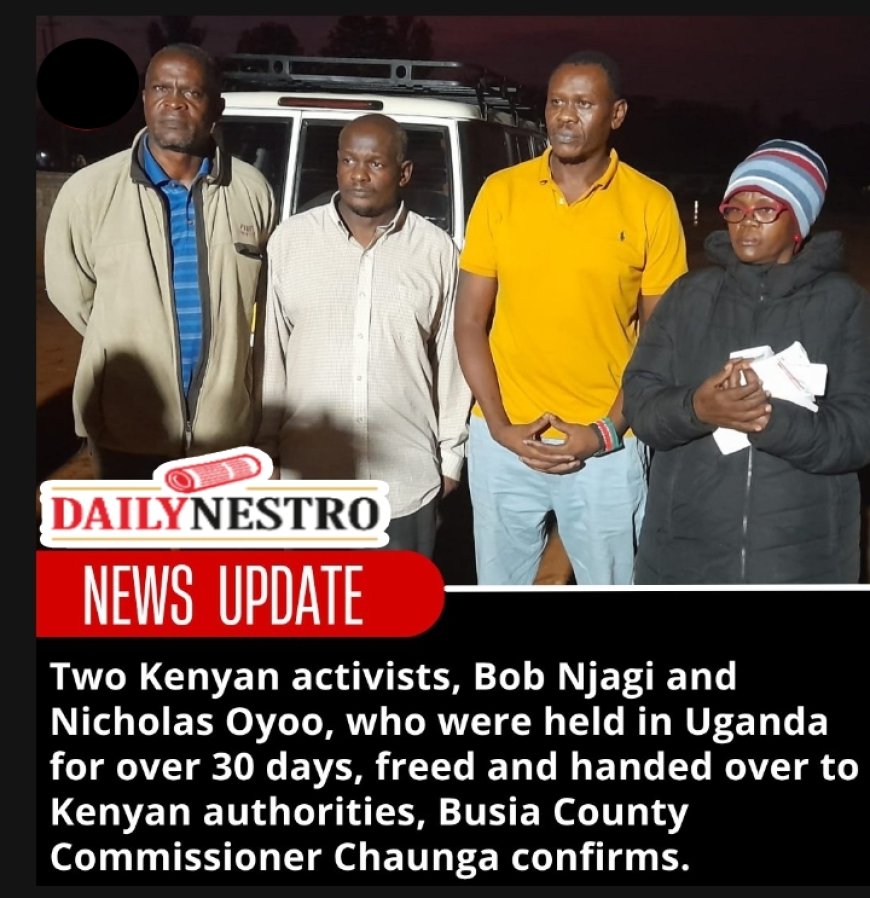 Kenyan Activists Missing in Uganda Found Safe After Five Weeks