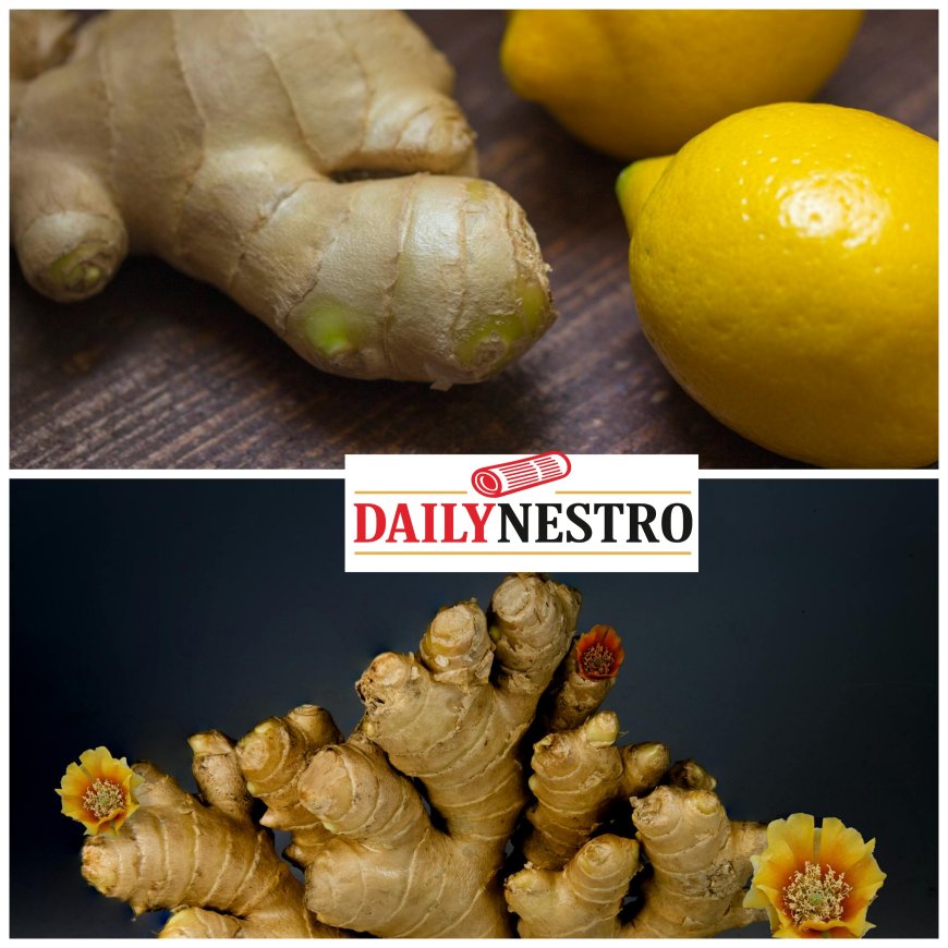 Why Ginger Is Taking Over the Wellness Scene in the United States