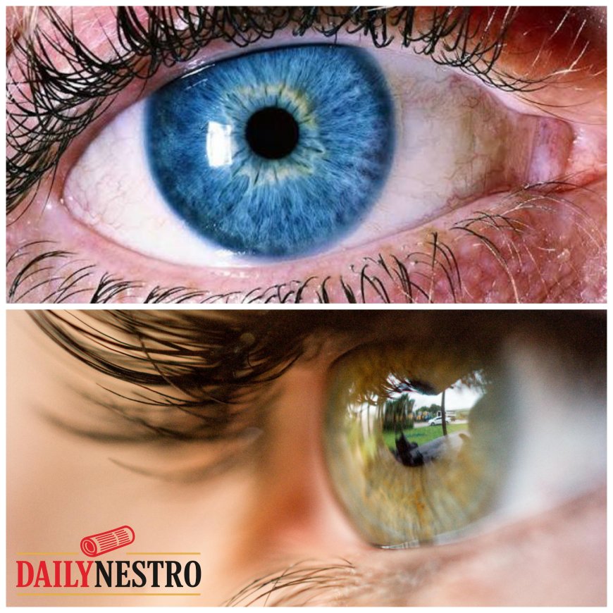 Early Warning Signs of Eye Problems You Should Never Ignore