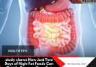 How Eating High-Fat Foods for Two Days Can Harm Your Gut Without You Knowing
