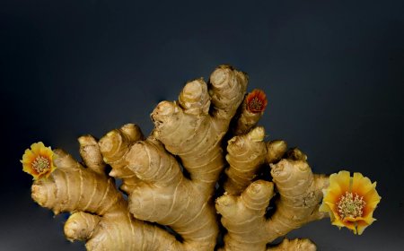 Does Ginger Really Lower Blood Pressure? What Science and Doctors Say