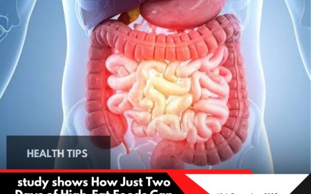 How Eating High-Fat Foods for Two Days Can Harm Your Gut Without You Knowing