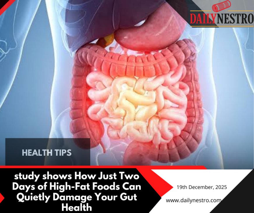 How Eating High-Fat Foods for Two Days Can Harm Your Gut Without You Knowing