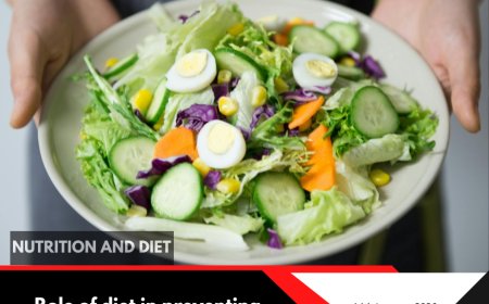 The Role of Diet in Preventing Chronic Diseases: A Guide to Long-Term Health